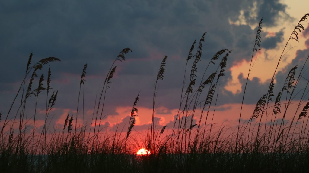 epic sunset on the gulf